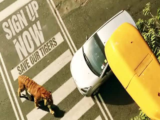 Sign Up. Save The Tiger.