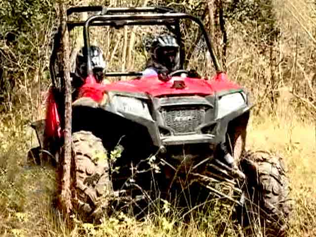 Teams Go One-On-One in the Forest