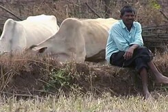 The Tiger Agenda: Local Communities in Conservation The Tiger Agenda: Local Communities in Conservation