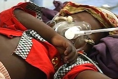 38 Lives Lost in Bihar: No Cure for This Deadly Disease Yet 38 Lives Lost in Bihar: No Cure for This Deadly Disease Yet