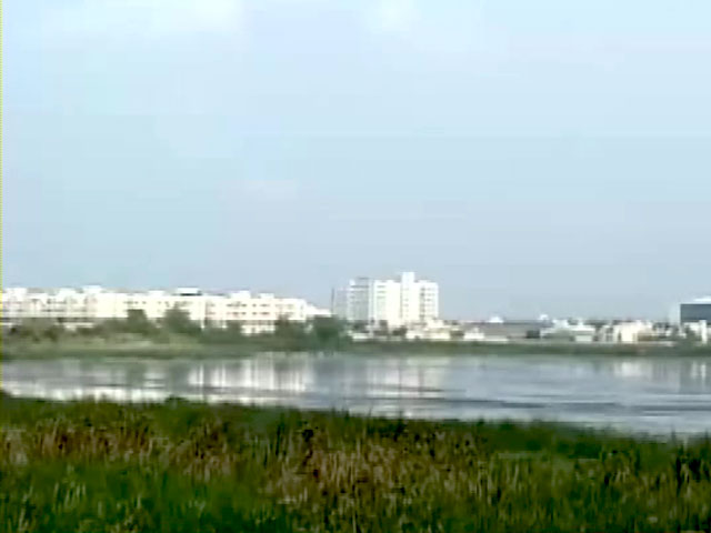 Chennai's Green Woes