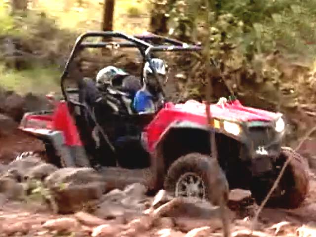 Teams Battle in the Wild