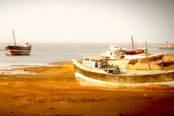Exploring Landscapes & White Sands of Kutch Exploring Landscapes & White Sands of Kutch