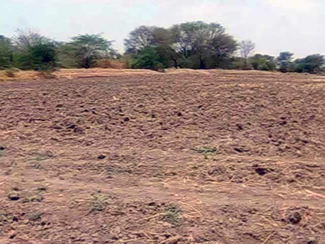 Video : Gujarat Farmers Hope for Rains, Government Prepares for Drought