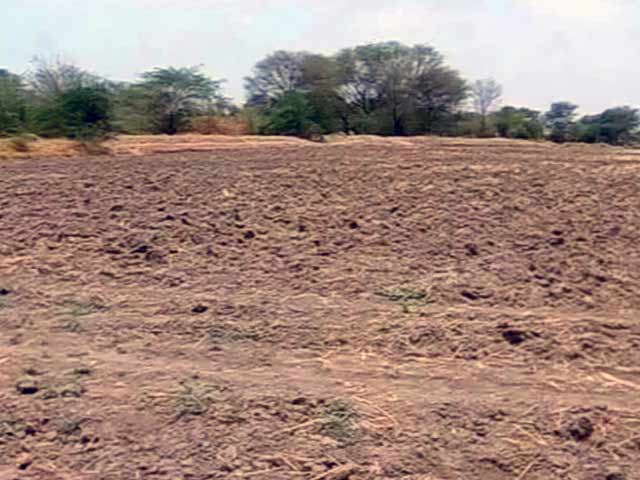 Gujarat Farmers Hope for Rains, Government Prepares for Drought