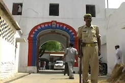 Couple's Bodies Found Hanging From Tree in UP Couple's Bodies Found Hanging From Tree in UP