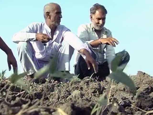 Video : Madhya Pradesh Farmers Brace for Another Troublesome Monsoon Season