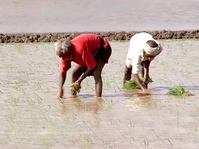 इंडिया इस हफ्ते : खराब मॉनसून से निपटने की तैयारी