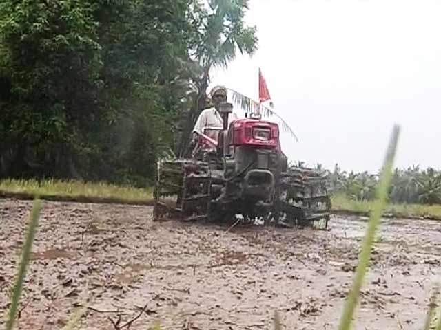 Rice Prices May Rise Due to Lack of Rains in Andhra Pradesh