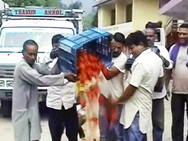 टमाटर की बंपर पैदावार