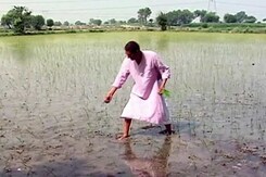 खबरों की खबर : महंगाई पर सरकारी दावे की जमीनी हकीकत खबरों की खबर : महंगाई पर सरकारी दावे की जमीनी हकीकत