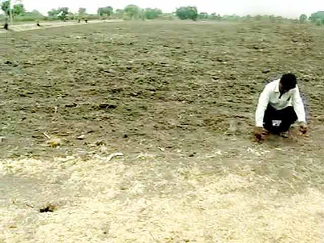 Video : 40% Rain Deficit in Madhya Pradesh, Onion Farmers Worried