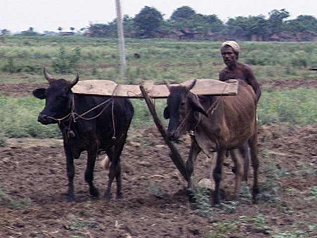 Budget 2014: Rs 1,000 Crore Set Aside to Improve Irrigation Facilities