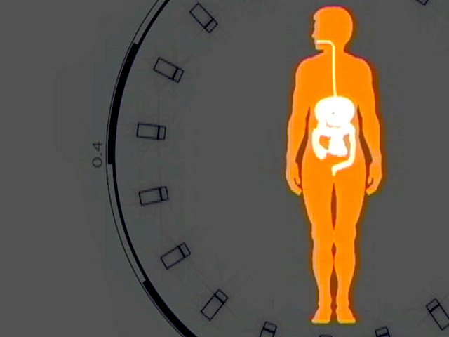 Seismic Shift in Your Understanding About Fat