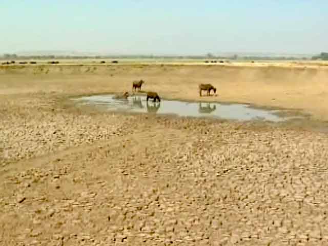 इंडिया सात बजे : खतरे की घंटी बजा रहा है मॉनसून