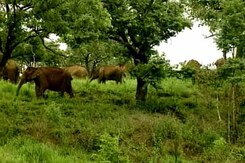 Sathyamangalam Tiger Reserve and Its Challenges Sathyamangalam Tiger Reserve and Its Challenges