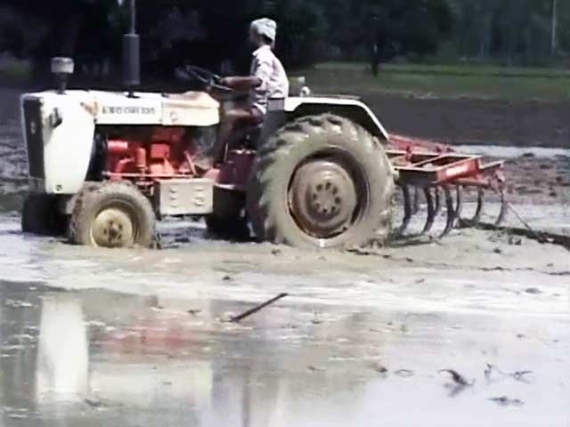 कम बारिश से सूखे खेत