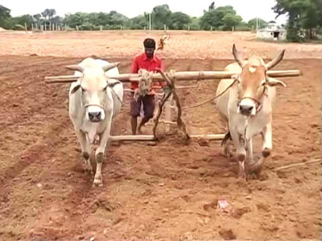 खबरों की खबर : खाली खेत, परेशान किसान