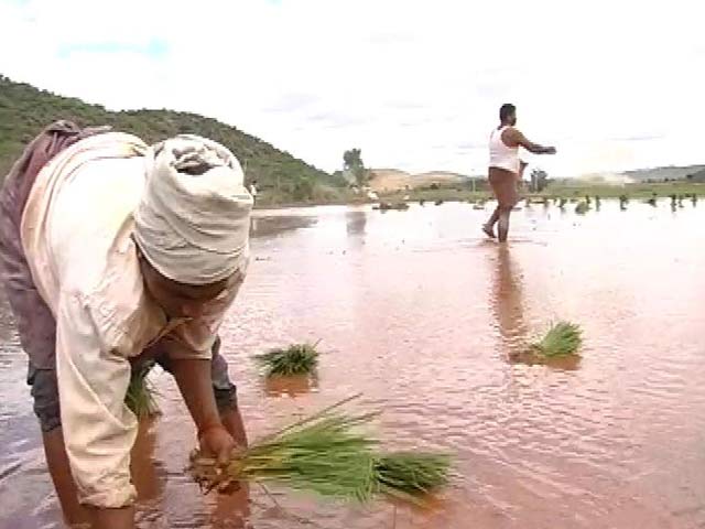 Will Poor Sowing Push Up Food Prices?
