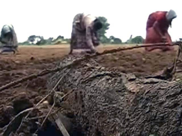 Videos : देश के कई हिस्सों में सूखे के हालात