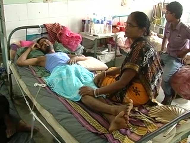 Video : Government Measures to Fight Encephalitis in North Bengal Inadequate, Delayed