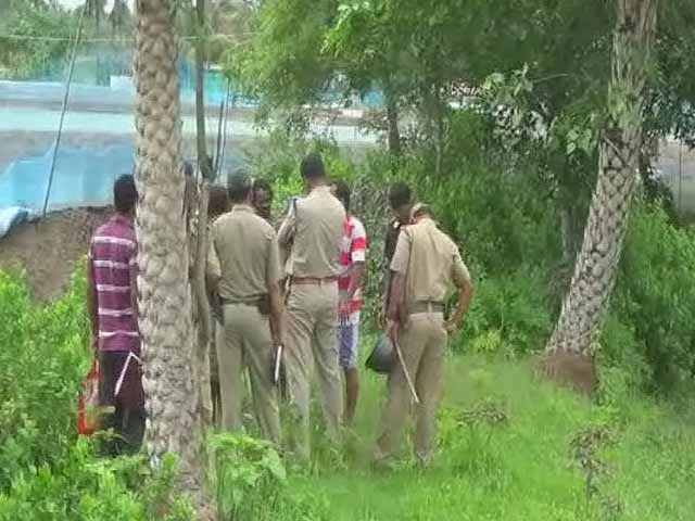 Video : 7-Year-Old's Body Found Hanging From Tree In Bengal