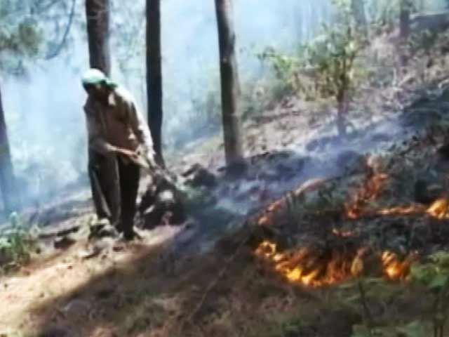 जंगल के दावेदार : कुदरत के मिजाज से खिलवाड़