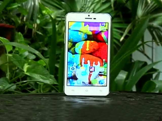 Obi's Octopus in Indian Sea