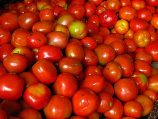 टमाटर के दाम आसमान पर