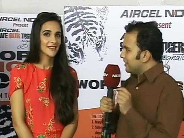 वर्ल्ड टाइगर डे : बाघों के लिए सेलीब्रिटीज भी दे रहे हैं योगदान वर्ल्ड टाइगर डे : बाघों के लिए सेलीब्रिटीज भी दे रहे हैं योगदान