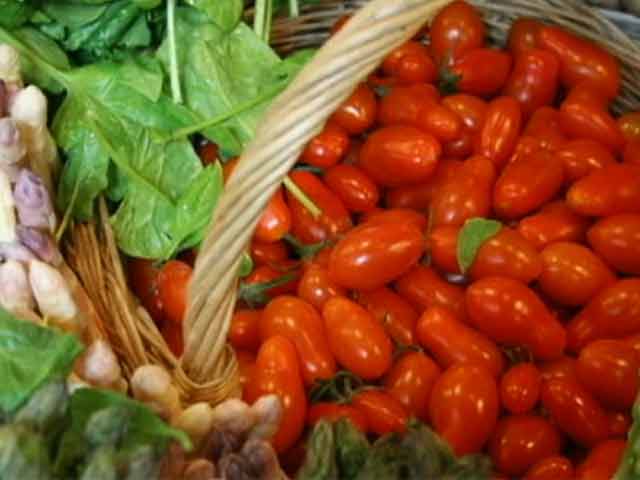 जीएम फसलों की फील्ड टेस्टिंग पर रोक : जावड़ेकर