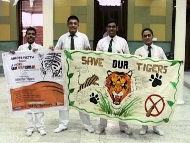 Video : World Tiger Day: Art Competition