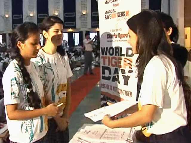वर्ल्ड टाइगर्स डे का जश्न