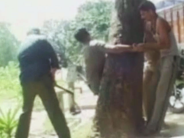 रायबरेली : पेड़ से बांध कर पिटाई!