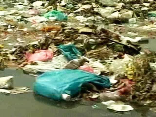 Video : On PM's Pet Project to Clean Up Ganga, Move Faster, Says Supreme Court