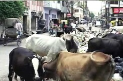 कूड़े के ढेर पर बैठा वाराणसी कूड़े के ढेर पर बैठा वाराणसी