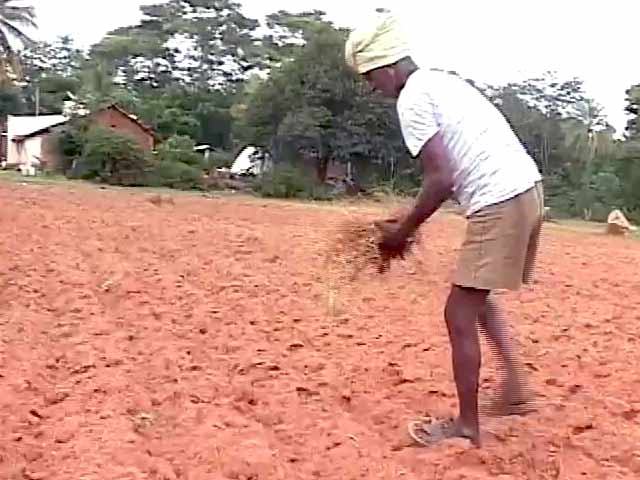 For Karnataka's Drought-Hit Farmers, an Endless Wait for 'Assistance'