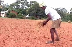 For Karnataka's Drought-Hit Farmers, an Endless Wait for 'Assistance' For Karnataka's Drought-Hit Farmers, an Endless Wait for 'Assistance'