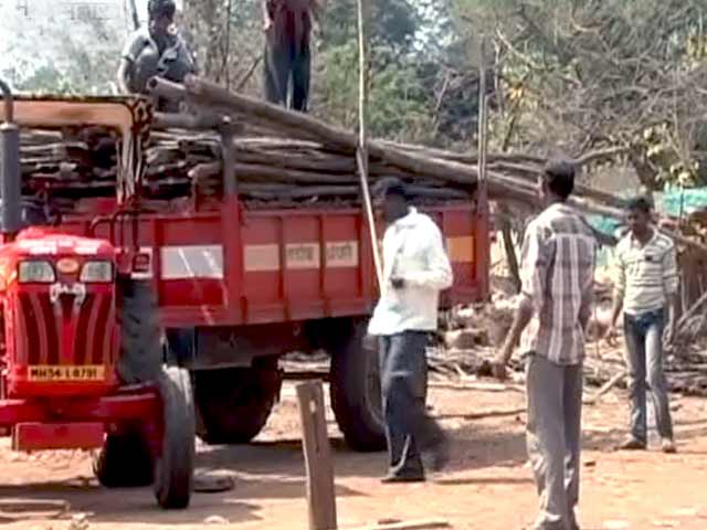 बाघ बचाओ : जामनी गांव का पुनर्वास