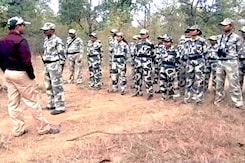 In Maharashtra Tiger Reserve, Zero Poaching, Thanks to a Special Force In Maharashtra Tiger Reserve, Zero Poaching, Thanks to a Special Force