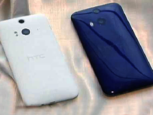 The Butterfly With an Extraordinary Eye