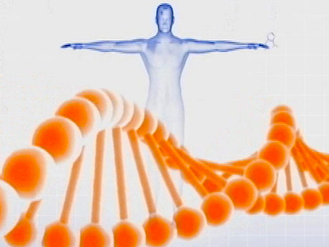 Personalise Your Diet Based on DNA