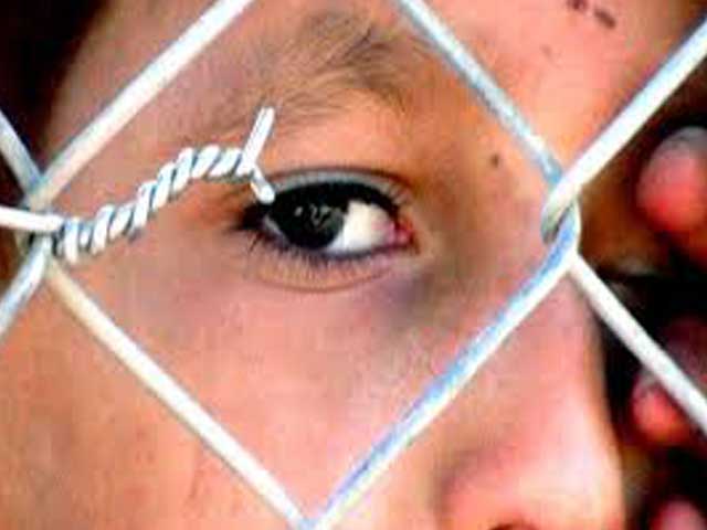 The Colour of Olives: Life of a Palestinian Family Living Under Extraordinary Conditions