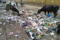 <i>Swachh Bharat Abhiyan</i>: On a Day of Photo Ops, Cleanliness Workers Want More <i>Swachh Bharat Abhiyan</i>: On a Day of Photo Ops, Cleanliness Workers Want More