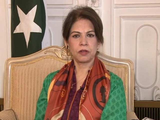 Video : Want an Assurance From India to End Firing: Pakistan Foreign Office
