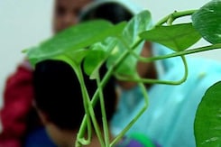 At 3, She Was Raped in Delhi and Testified. At 5, Surgeries Continue At 3, She Was Raped in Delhi and Testified. At 5, Surgeries Continue