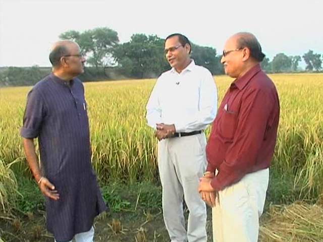 Walk The Talk With Developers of Pusa-1509 Rice