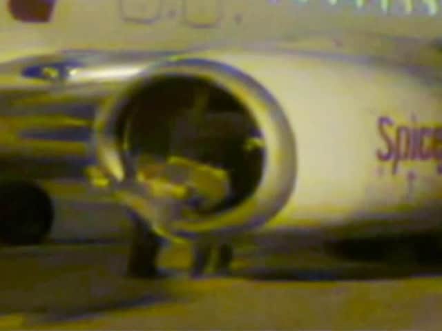 सूरत एयरपोर्ट पर टेक ऑफ के दौरान विमान से टकराई भैंस