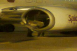 SpiceJet Flight Hits Buffalo During Takeoff at Surat Airport SpiceJet Flight Hits Buffalo During Takeoff at Surat Airport