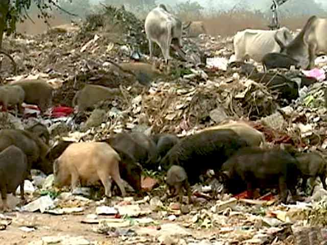 Video : Gurgaon: Challenges Before BJP Government